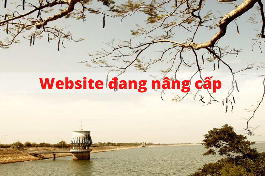 Hình ảnh 2